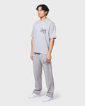 COLLEGE TSHIRT - WASHED GREY